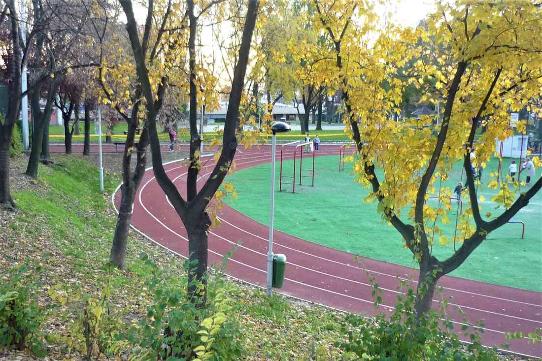 sportski-centar-olimp-zvezdara